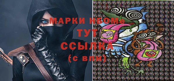 дмт Дмитров